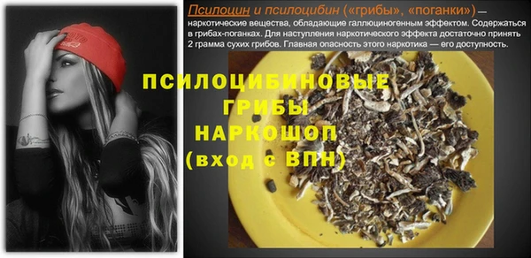 а пвп мука Бугульма
